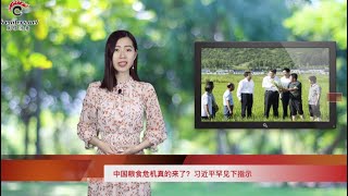 中國糧食危機真的來了？習近平罕見下指示  |  武漢病毒所長美媒上喊冤 黑歷史再被扒  |  制裁實錘落下！香港出口美國商品列入貿易戰範圍（《萬維讀報》20200811-01 LTJJ)