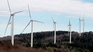 Energy prices ‘see-sawing’ with wind and solar subsidies