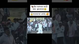 एका गरीब बैलगाडा मालकाचा बैल फायनल साठी पात्र झाल्यावर मालकाचा आनंद 🚩