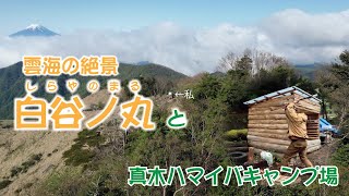 真木ﾊﾏｲﾊﾞcampと雲海の絶景富士山