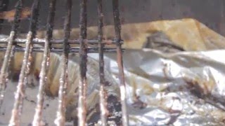 Easy and Affordable Way To Renew Your Old Barbecue Grill and Grilling Tips