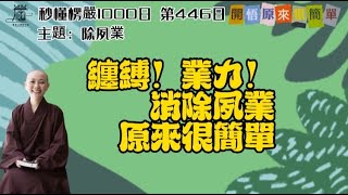 【秒懂楞嚴 #446日】持楞嚴咒功德-未及懺悔之罪業，猶湯銷雪。 (若有眾生從無量無數劫來…得悟無生忍) 見輝法師