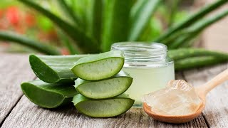 6 Ways To Make Aloe Vera Products For Hair Growth