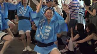 郵便局連（鳴物：飛鳥連）【4K】／ 第49回神楽坂まつり阿波踊り大会2023（初日）