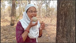 गावच्या रानातील रानमेवा/collect wood apple and Traditionally making juice/Mouth Watering Very Tasty