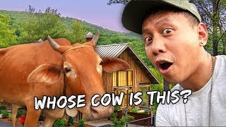 Visiting Our Future Home \u0026 Farm (UPDATE) | Vlog #727