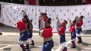 剱風さん よさこい富山（山王日枝神社）2015年