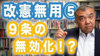 改憲無用⑤９条の無効化！？　憲法を変えてはいけない７つの理由　Progressive! Channel 中野晃一 プログレッシブ