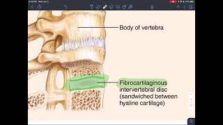 CH8 - Joints