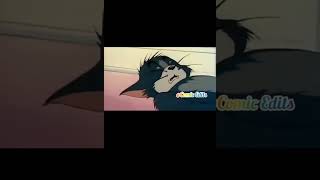 Natu Natu song Tom and Jerry version|funny meme|Comic Edits