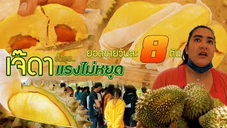 ทุเรียน อยุธยา..ฟีเวอร์ แรงไม่หยุด ขายวันละ8ตัน