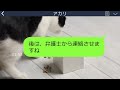 【line】高齢出産したボロボロの私から旦那を略奪した女が離婚要求「大企業エリートとタワマンは私のもの！子供を連れてどっかいけ」→絶縁宣言直後に嘘つきクズ男の真実を知った女の末路が笑えるw