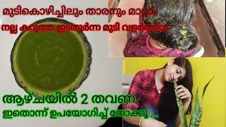 നല്ല കട്ടിയോടെ മുടി വളരാനുള്ള hair pack| മുടി നന്നായി കറുക്കാൻ|Iswarya's Passion in Malayalam