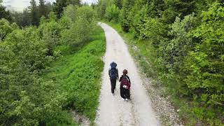 Gantrish National Park in Bern Switzerland - Mavir Air 2 - iMovie Montage in 4K