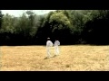 STEP BY STEP - Teaching Paneurhythmy - Ina Doinova