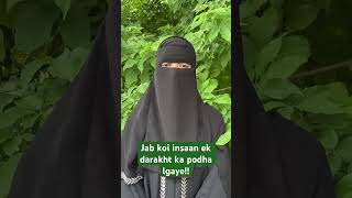 Jab koi insaan ek darakht ka podha lgaye! #allah #shortsfeed #trending #shorts #islam #youtubeshorts