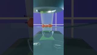 Working principle of the compound microscope in 3d animation. #microscope #optics #physics #light