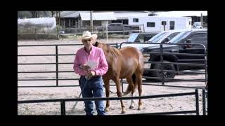 Skipper Calder \u0026 Cowboy-up Ministry bring horse training with a message at 11am.