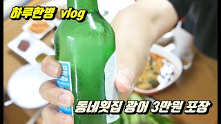 하루한병 브이로그, 동네횟집에서 광어3만원 어치 포장!