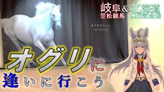 【馬旅】オグリキャップに逢いに行こう | 岐阜・笠松競馬 | 北海道・優駿記念館