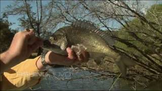 Bream on Fly tackle