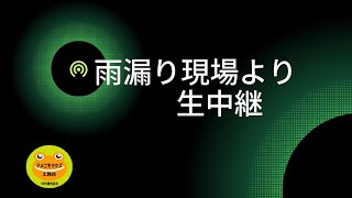 経験豊富な専門家がアドバイスする八王子市の雨漏り対策 現場映像