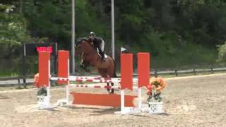 Video of KT Talou ridden by Christine Reilly-Dobisch from ShowNet!