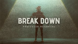 Professor Botanical - Break Down