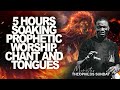 5 HOURS SOAKING PROPHETIC WORSHIP, CHANTS & TONGUES || MIN. THEOPHILUS SUNDAY