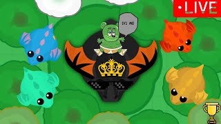 Mope.io Livestream 1v1\u0026Chilling\u0026Fun Server : Paris 1