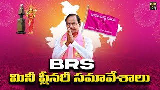 BRS Mini Plenary | నేడు రాష్ట్రవ్యాప్తంగా BRS మినీ ప్లీనరీ సమావేశాలు | BIGTV Telugu News Channel