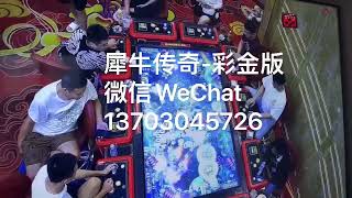 犀牛传奇-彩金版打鱼机价格 柬埔寨西港金边热销捕鱼机游戏节目出售