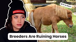 What is happening to horses?!