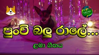 Punchi Balu Ralee | පුංචි බලු රාලේ | Sinhala Nursery Rhyme | Sinhalese Children Songs l Cyelon Kids