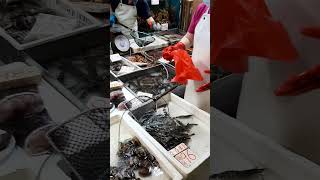 香港海鮮街市 Live seafood market