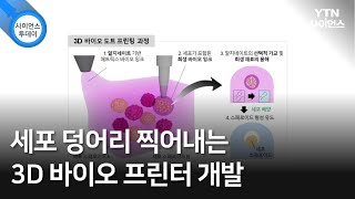 세포 덩어리 찍어내는 3D 바이오 프린터 개발 / YTN 사이언스