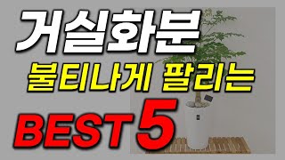 거실화분 추천 2023년 인기 좋고 부담없는 가격의 판매순위 Top5