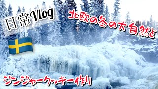 冬の大自然とジンジャークッキー作り/スウェーデン北部在住の氷の世界