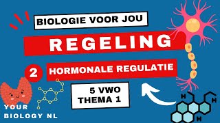 5 vwo | Regeling | 2 | Hormonale regulatie