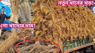 নতুন ধানের খড় | গো খাদ্যের দাম | নতুন ধানের খড়/কাড়ি/বিচালি  সমগ্র বাংলাদেশের ডেলিভারি দিচ্ছেন তিনি