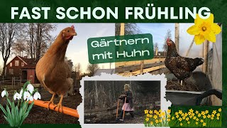 Fast schon Frühling auf unserem Hof in Schweden - Gärtnern mit glücklichen Hühnern