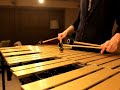 ポケモンrs　ミシロタウンbgm　on　vibraphone