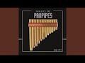 Just the Way You Are (Panpipes Version)