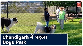 Chandigarh में  जल्द बनेगा  North India का पहला Dogs Park