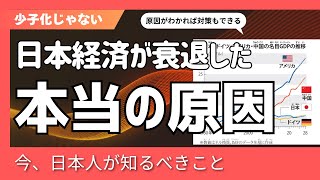 日本経済衰退の原因と今後取るべき財政政策、財務省と政府の失政によって少子化とは関係なしに訪れた大不況。再び日本が成長するのに必要なこととは。