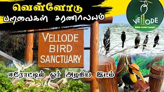 Vellode Bird Sanctuary | வெள்ளோடு பறவைகள் சரணாலயம் | My En route Travel