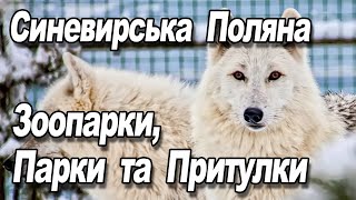 Зоопарки, Парки та Притулки. Відвідування Синевирської Поляни