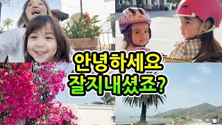 오랜만에 너무 좋아서 눈물 날뻔 했어요.(feat 웃으면 복이와요)