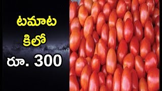 టమాట కిలో రూ.300 | Tomato price in pakistan | PATAS TV