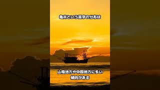 【亀井】苗字にまつわる雑学 #shorts #雑学 #苗字 #名字 #性格 #占い